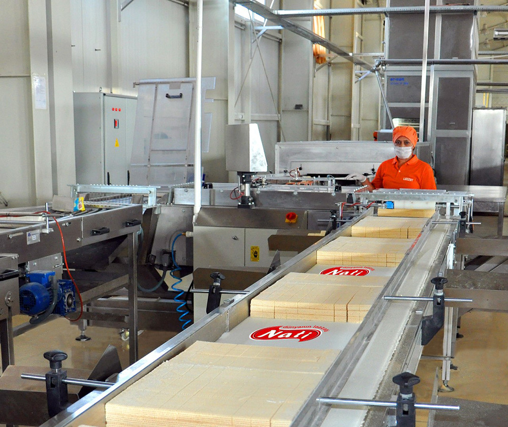 İnvestisiyanın təşviqi mexanizmi istehsalı və ixracı stimullaşdırır<font color=red> - FOTOLAR</font>