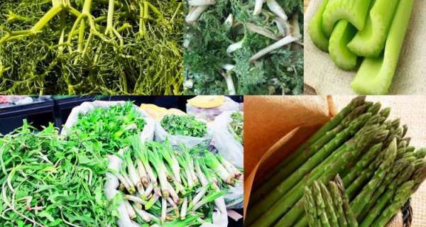 Təbiətin yaz səxavəti<font color=red> - FOTOLAR</font>