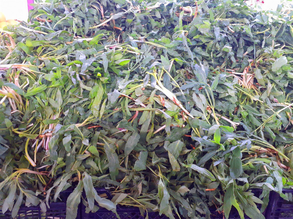 Təbiətin yaz səxavəti<font color=red> - FOTOLAR</font>