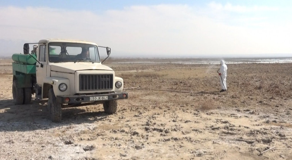 Arazboyu ərazilərdə monitorinq və dezinfeksiya işləri aparılıb<font color=red> - FOTOLAR</font>