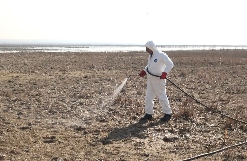 Arazboyu ərazilərdə monitorinq və dezinfeksiya işləri aparılıb<font color=red> - FOTOLAR</font>