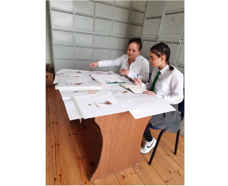 Çiçəkləri göyqurşağına bənzədilən bitki - Süsənlər bəzək bitkisi kimi<font color=red> - FOTOLAR</font>