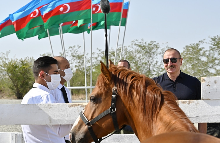 Prezident İlham Əliyev və birinci xanım Mehriban Əliyeva Ağdamda Atçılıq Nəsilartırma Mərkəzinin təməl qoyma mərasimində iştirak ediblər<font color='red'> - YENİLƏNİB</font><font color=red> - FOTOLAR</font>