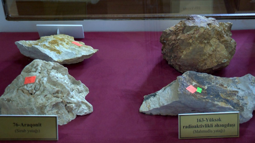 AMEA Naxçıvan Bölməsinin Təbii Sərvətlər Muzeyi istifadəyə verilib<font color=red> - FOTOLAR</font>