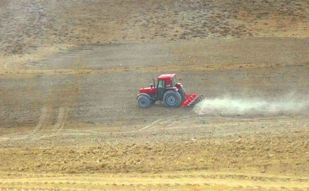 Şahbuzda payızlıq taxıl əkinlərinə başlanılıb<font color=red> - FOTOLAR</font>