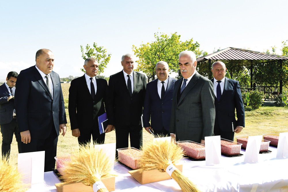 Naxçıvanda payızlıq taxıl əkini ilə bağlı səyyar müşavirə keçirilib<font color=red> - FOTOLAR</font>