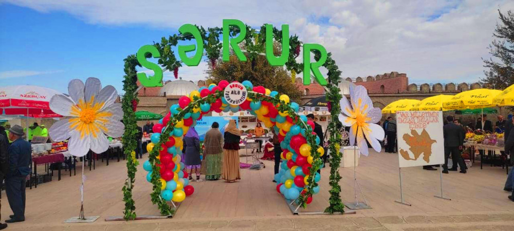 Naxçıvanda “Ailə təsərrüfatı məhsulları” festivalı keçirilir<font color=red> - FOTOLAR</font>