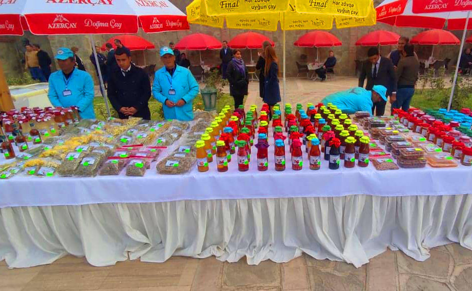 Naxçıvanda “Ailə təsərrüfatı məhsulları” festivalı keçirilir<font color=red> - FOTOLAR</font>