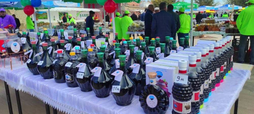 Naxçıvanda “Ailə təsərrüfatı məhsulları” festivalı keçirilir<font color=red> - FOTOLAR</font>