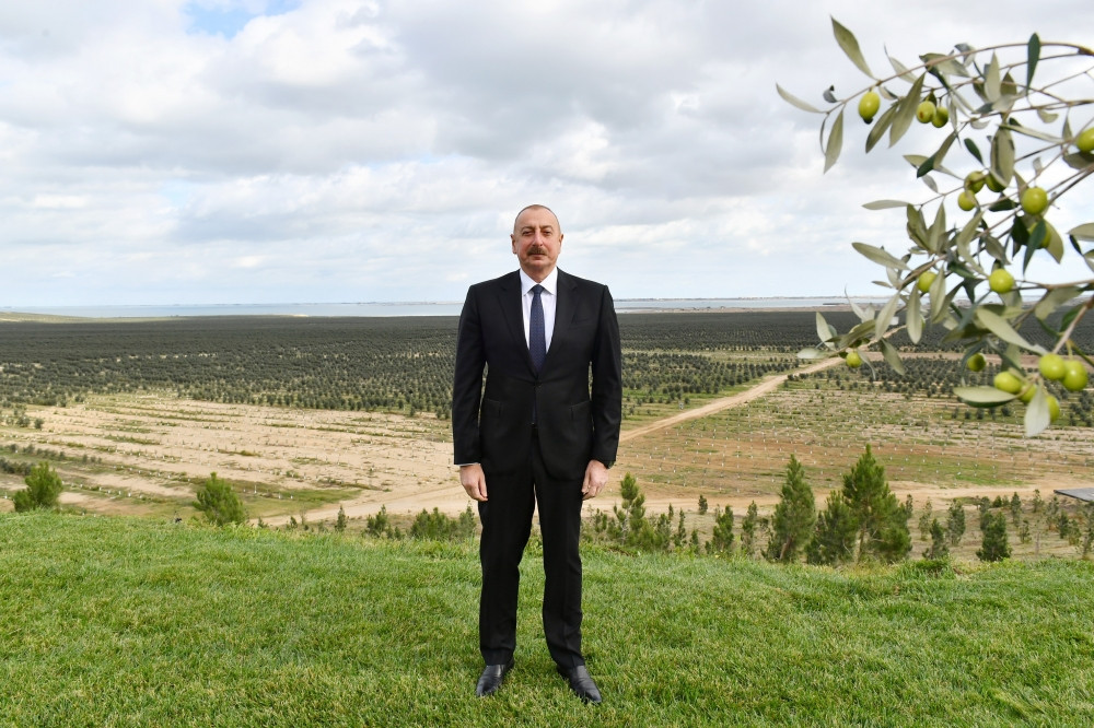 Prezident İlham Əliyev Zirə qəsəbəsində zeytun yağı və süfrəlik zeytun məhsullarının emalı zavodunun açılışında iştirak edib<font color='red'> - YENİLƏNİB</font><font color=red> - FOTOLAR</font>