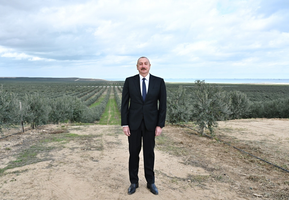 Prezident İlham Əliyev Zirə qəsəbəsində zeytun yağı və süfrəlik zeytun məhsullarının emalı zavodunun açılışında iştirak edib<font color='red'> - YENİLƏNİB</font><font color=red> - FOTOLAR</font>