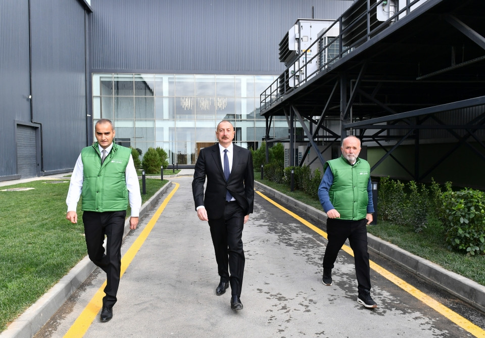 Prezident İlham Əliyev Zirə qəsəbəsində zeytun yağı və süfrəlik zeytun məhsullarının emalı zavodunun açılışında iştirak edib<font color='red'> - YENİLƏNİB</font><font color=red> - FOTOLAR</font>