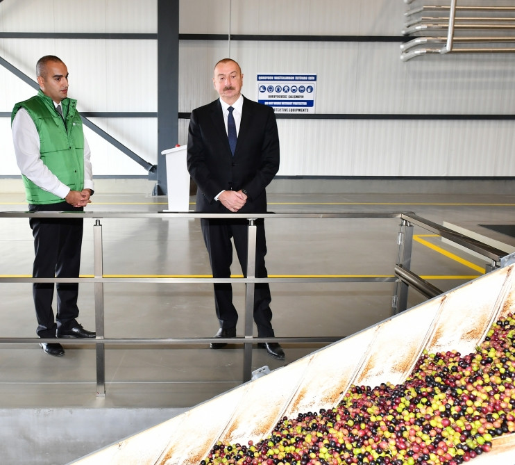 Prezident İlham Əliyev Zirə qəsəbəsində zeytun yağı və süfrəlik zeytun məhsullarının emalı zavodunun açılışında iştirak edib<font color='red'> - YENİLƏNİB</font><font color=red> - FOTOLAR</font>