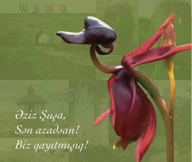 Vətən müharibəsinin salnaməsi: 8 noyabr<font color=red> - FOTOLAR</font>