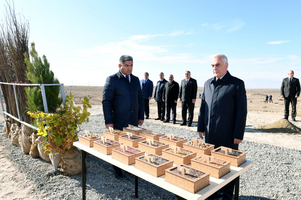 Naxçıvanda Yeni Azərbaycan Partiyasının yaradılmasının 30 illiyi münasibətilə 30 min ağac əkilib<font color=red> - FOTOLAR</font>