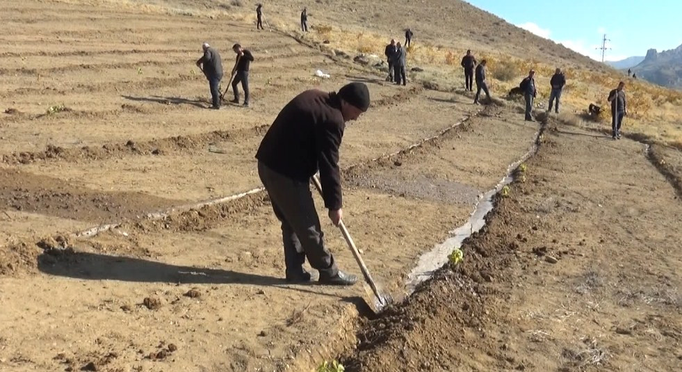 YAP-ın 30 illiyinə 30 min ağac əkilib<font color=red> - FOTOLAR</font>