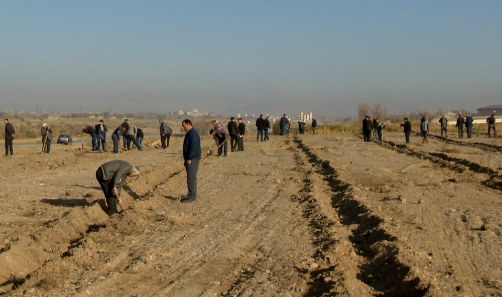 YAP-ın 30 illiyinə 30 min ağac əkilib<font color=red> - FOTOLAR</font>