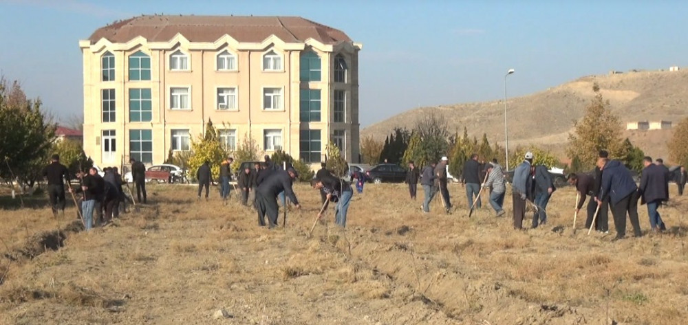 YAP-ın 30 illiyinə 30 min ağac əkilib<font color=red> - FOTOLAR</font>