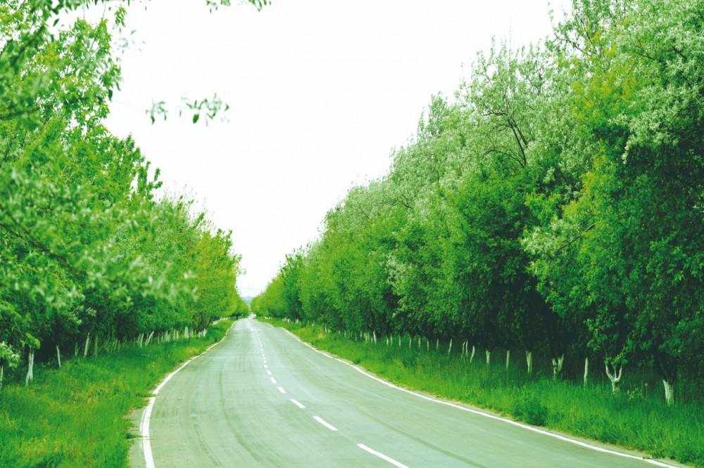 NAXÇIVAN: 30 illik yubileyə 30 min yaşıl töhfə<font color='red'> - TƏHLİL</font><font color=red> - FOTOLAR</font>