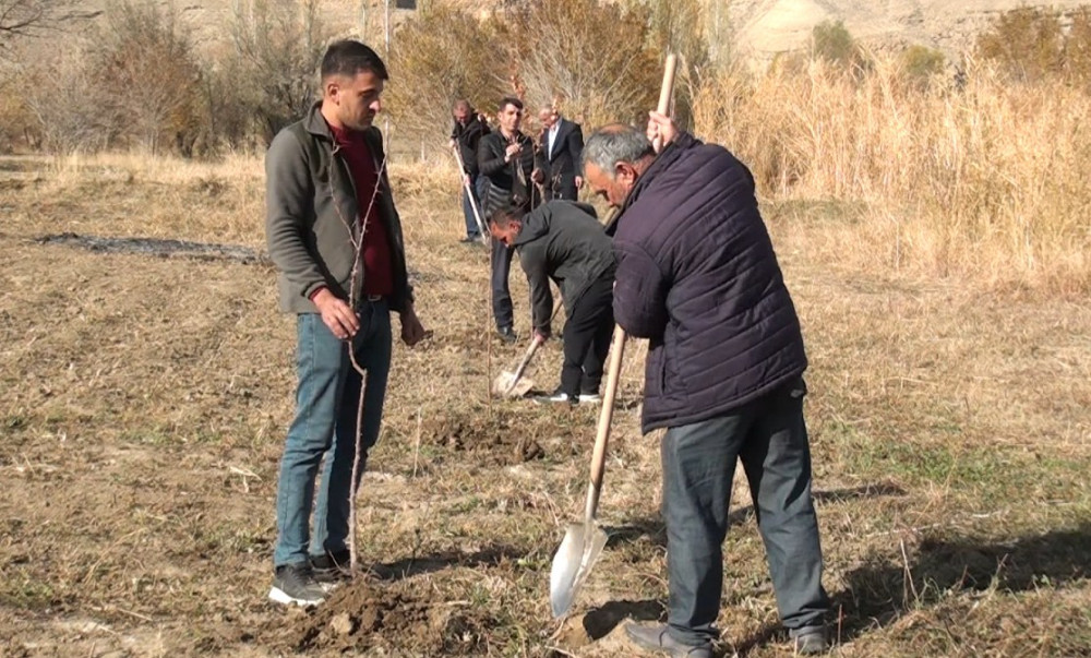 Ordubadda yeni meyvə bağları salınır<font color=red> - FOTOLAR</font>
