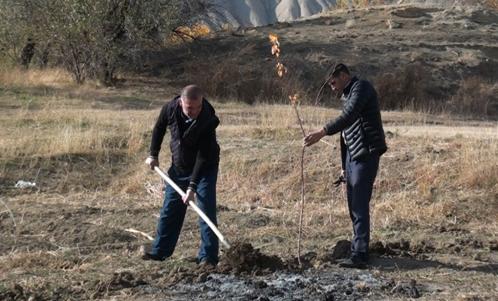 Ordubadda yeni meyvə bağları salınır<font color=red> - FOTOLAR</font>