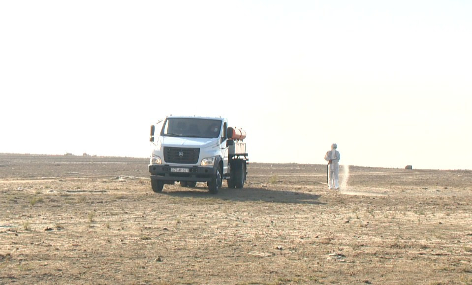 “Arazboyu” Dövlət Təbiət Yasaqlığının Araz Su Anbarı ərazisində monitorinq keçirilib <font color=red> - FOTOLAR</font>