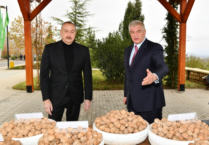 Prezident İlham Əliyev “Şəki-Oğuz” Aqroparkında yaradılan şəraitlə tanış olub<font color=red> - FOTOLAR</font>