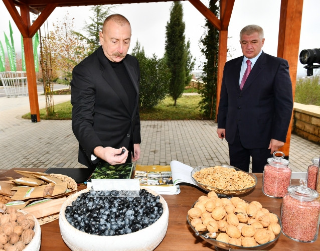 Prezident İlham Əliyev “Şəki-Oğuz” Aqroparkında yaradılan şəraitlə tanış olub<font color=red> - FOTOLAR</font>