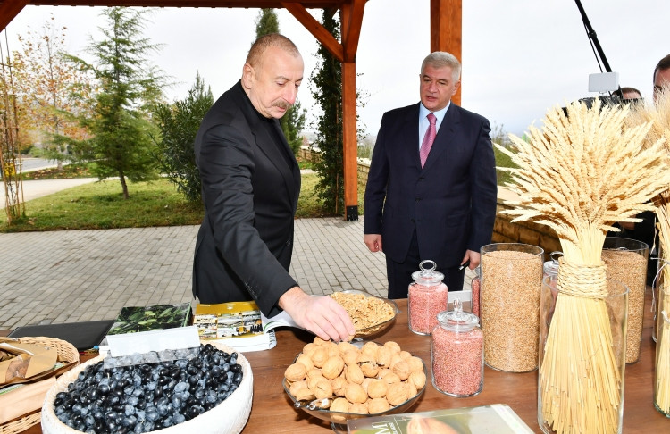 Prezident İlham Əliyev “Şəki-Oğuz” Aqroparkında yaradılan şəraitlə tanış olub<font color=red> - FOTOLAR</font>