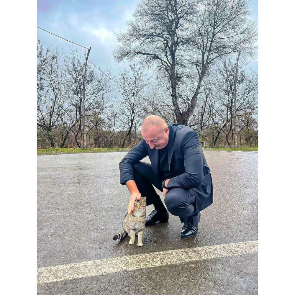 Birinci vitse-prezident Mehriban Əliyeva Prezident İlham Əliyevin Şəki səfəri ilə bağlı rəsmi instaqram səhifəsində paylaşım edib<font color=red> - FOTOLAR</font>