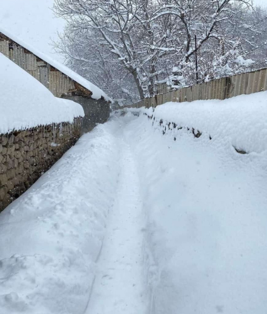 Ağ örpəyə bürünən Kükü<font color=red> - FOTOLAR</font>