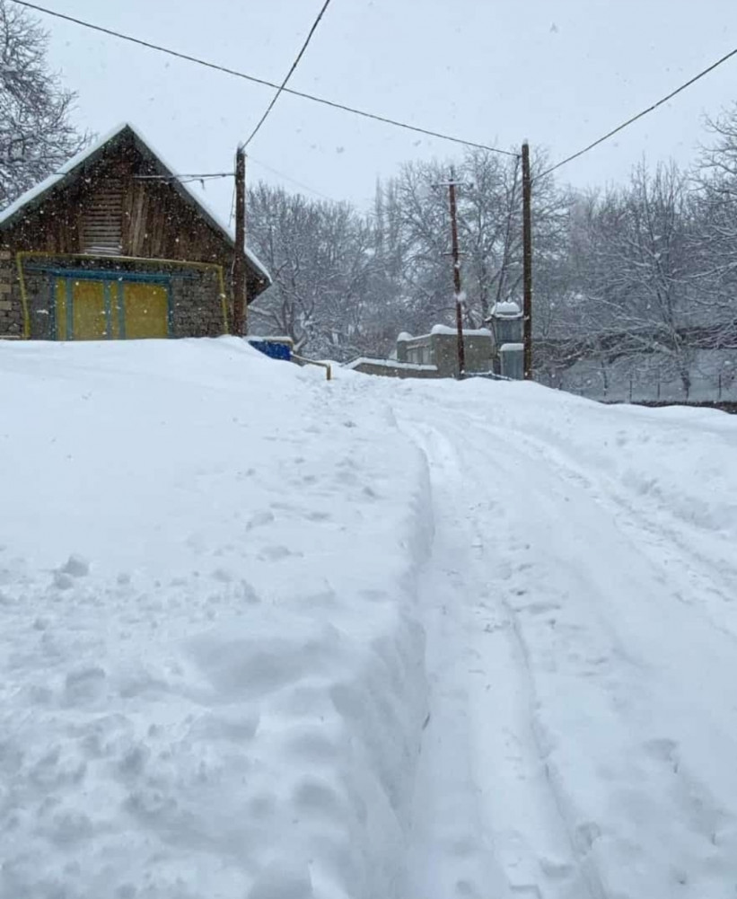 Ağ örpəyə bürünən Kükü<font color=red> - FOTOLAR</font>