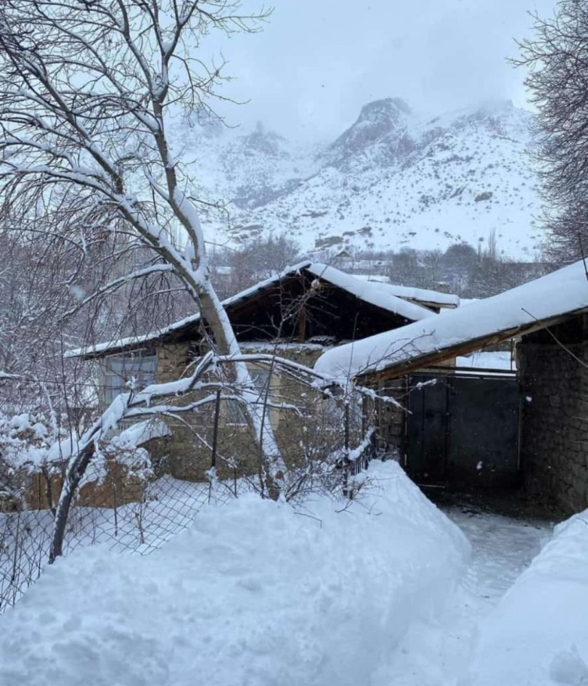 Ağ örpəyə bürünən Kükü<font color=red> - FOTOLAR</font>