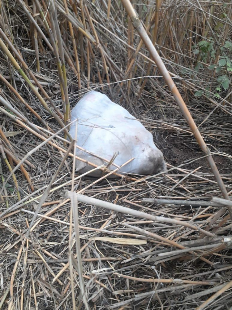 İrandan Azərbaycana narkotik gətirən şəxs saxlanılıb<font color=red> - FOTOLAR</font>