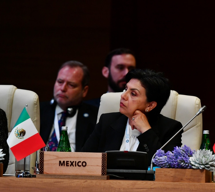 Bakıda Qoşulmama Hərəkatının COVID-19-a qarşı mübarizə üzrə Təmas Qrupunun Zirvə görüşü işə başlayıb<font color='red'> - YENİLƏNİB 4</font><font color=red> - FOTOLAR</font>