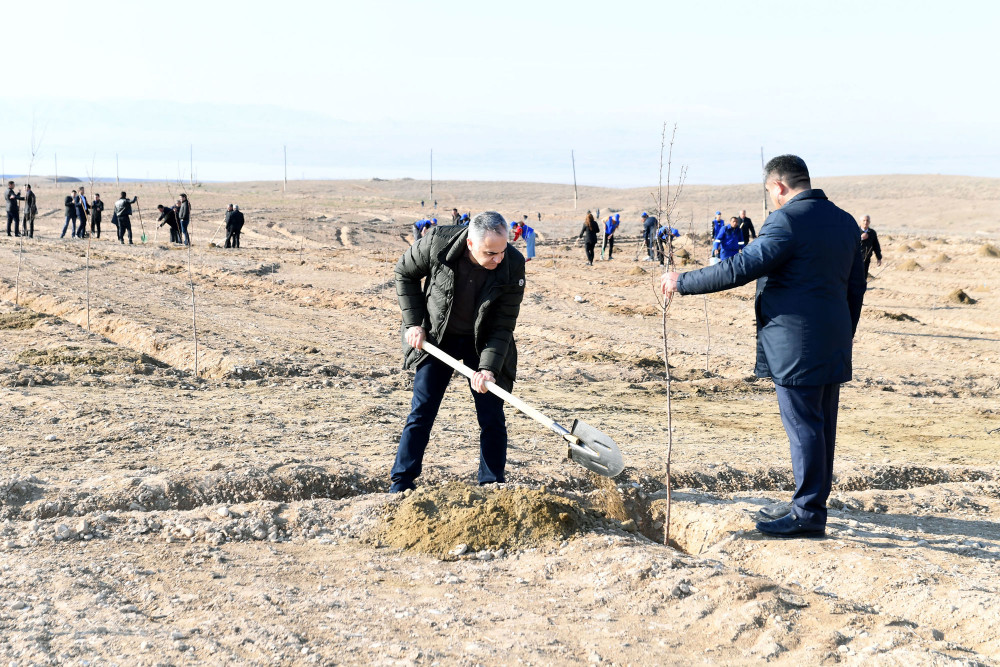 Naxçıvanda Ümummilli Lider Heydər Əliyevin 100 illiyinə həsr olunmuş könüllü ağacəkmə aksiyası keçirilib<font color=red> - FOTOLAR</font>