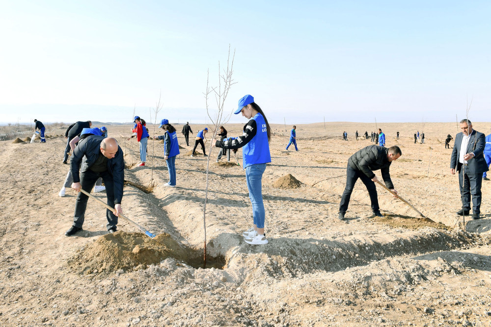 Naxçıvanda Ümummilli Lider Heydər Əliyevin 100 illiyinə həsr olunmuş könüllü ağacəkmə aksiyası keçirilib<font color=red> - FOTOLAR</font>