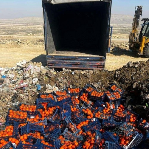 İrandan idxal edilən portağal və bibər məhsullarında karantin tətbiq olunan zərərli orqanizm aşkarlanıb<font color=red> - FOTOLAR</font>