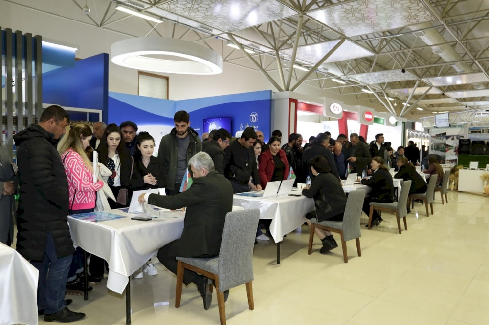 Naxçıvanda əmək yarmarkası keçirilib<font color=red> - FOTOLAR</font>