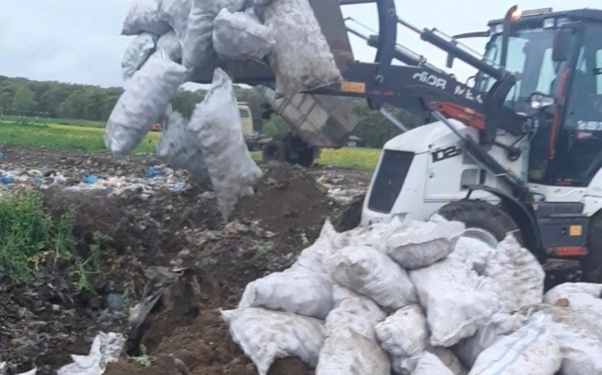 İrandan Azərbaycana gətirilən 24 tona yaxın yararsız kartof məhv edilib<font color=red> - FOTOLAR</font>