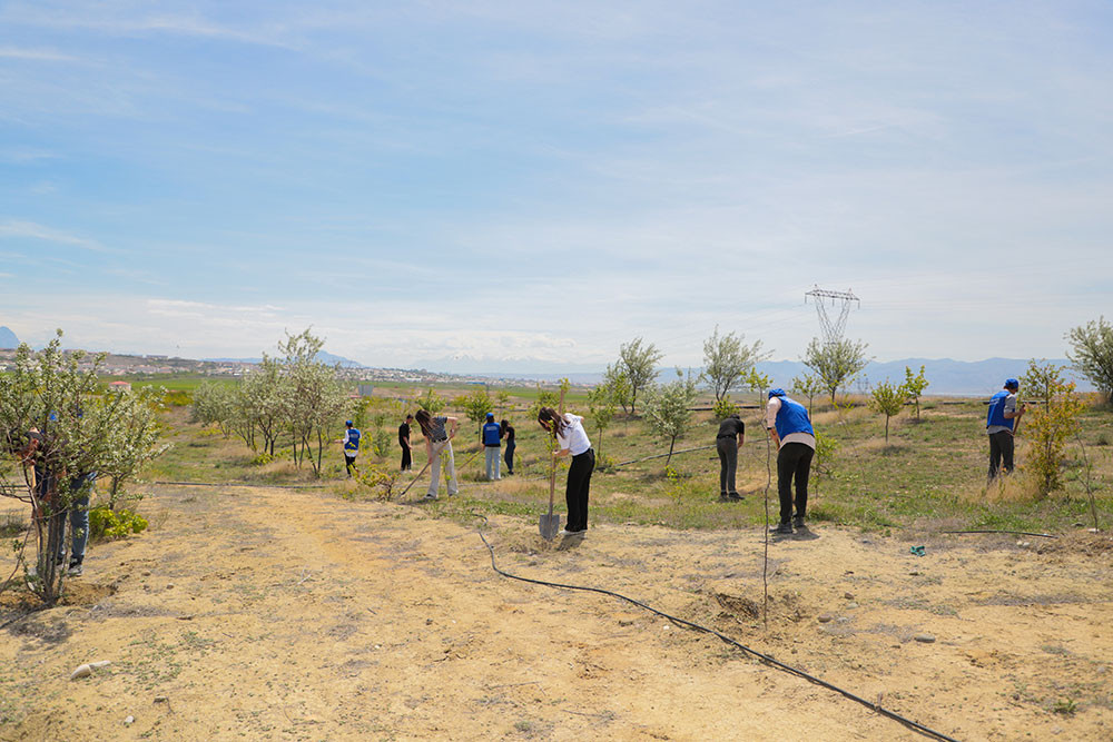 Gənclər təmizlik aksiyası keçirib<font color=red> - FOTOLAR</font>