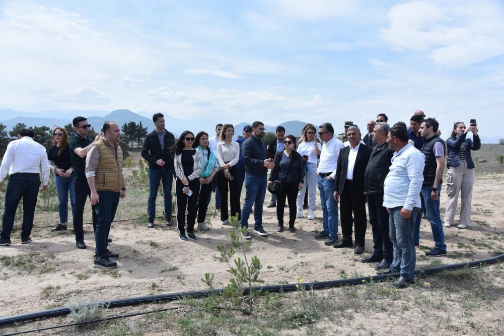 Zəngilanda 30 min ağacdan ibarət meşə massivi salınıb<font color=red> - FOTOLAR</font>