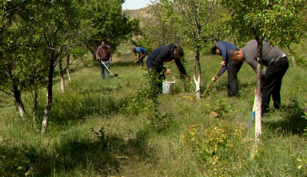 Naxçıvanda ümummilli lider Heydər Əliyevin 100 illik yubileyinə həsr olunmuş təmizlik və yaşıllıqlara qulluq aksiyası keçirilib<font color=red> - FOTOLAR</font>