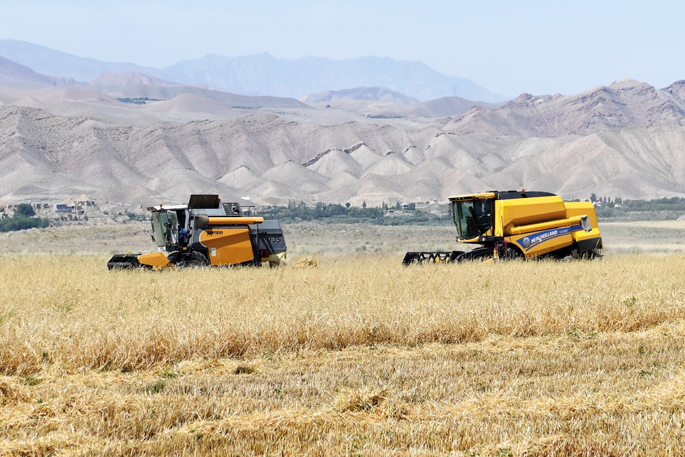 Muxtar respublikada taxıl biçininə start verilib<font color=red> - FOTOLAR</font>