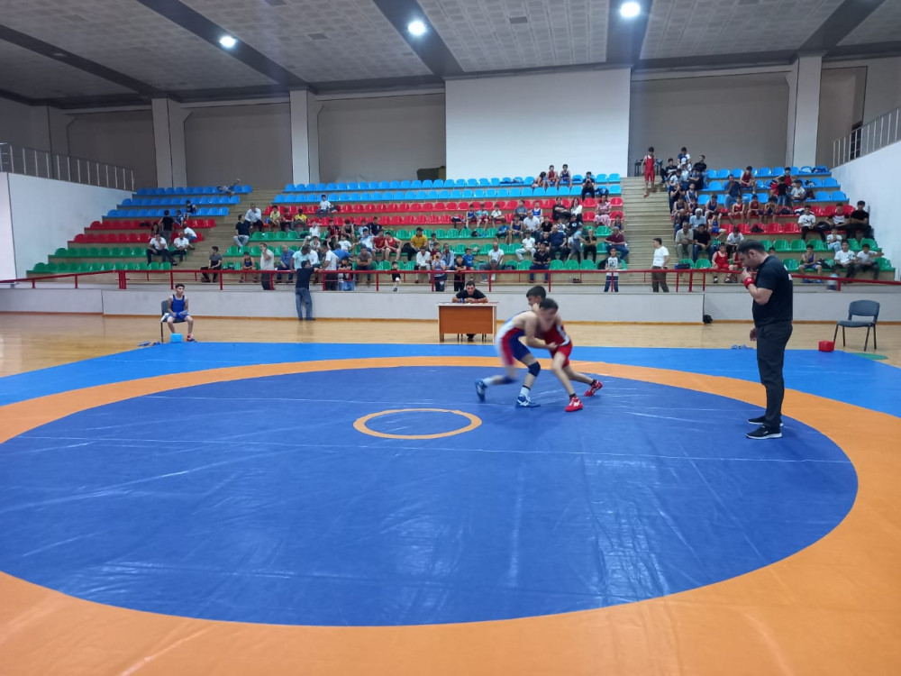 Sərbəst güləş üzrə Naxçıvan şəhər birinciliyi keçirilib<font color=red> - FOTOLAR</font>