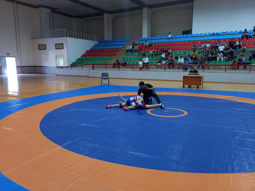 Sərbəst güləş üzrə Naxçıvan şəhər birinciliyi keçirilib<font color=red> - FOTOLAR</font>