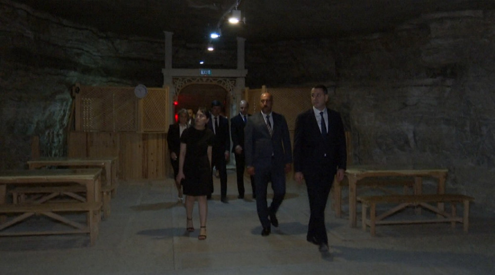 Naxçıvanda pulmonoloq və allerqoloqların iştirakı ilə konfrans keçirilib<font color='red'> - YENİLƏNİB</font><font color=red> - FOTOLAR</font>