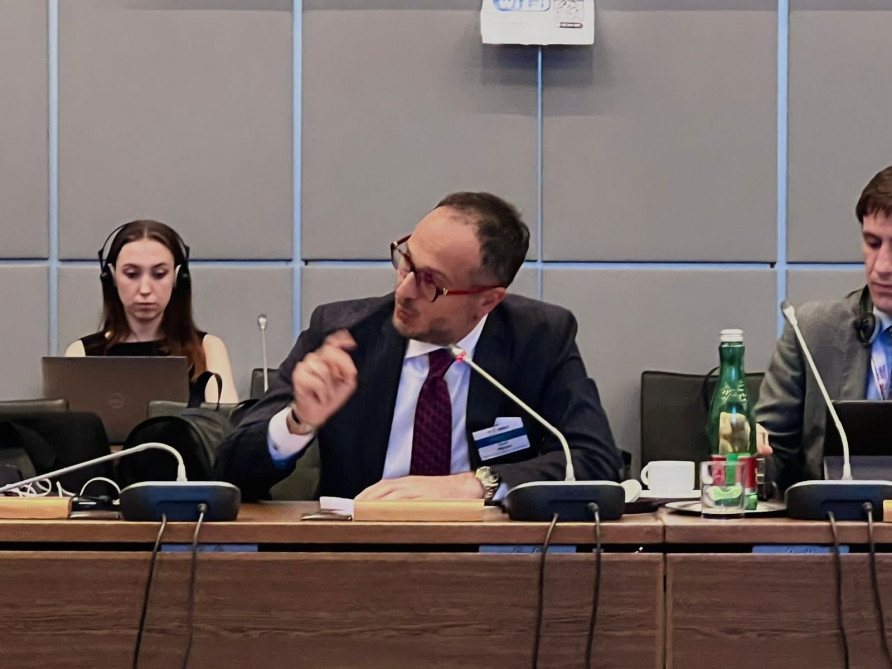 Qərbi Azərbaycan İcması ATƏT-in yüksək səviyyəli tədbirində təmsil olunub<font color=red> - FOTOLAR</font>