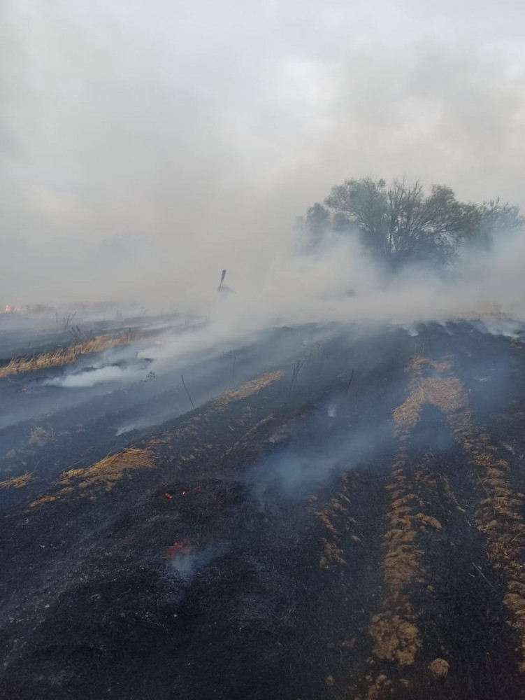 Şərur rayon Çərçiboğan kəndində biçilmiş taxıl sahəsində yanğın baş verib<font color=red> - FOTOLAR</font>