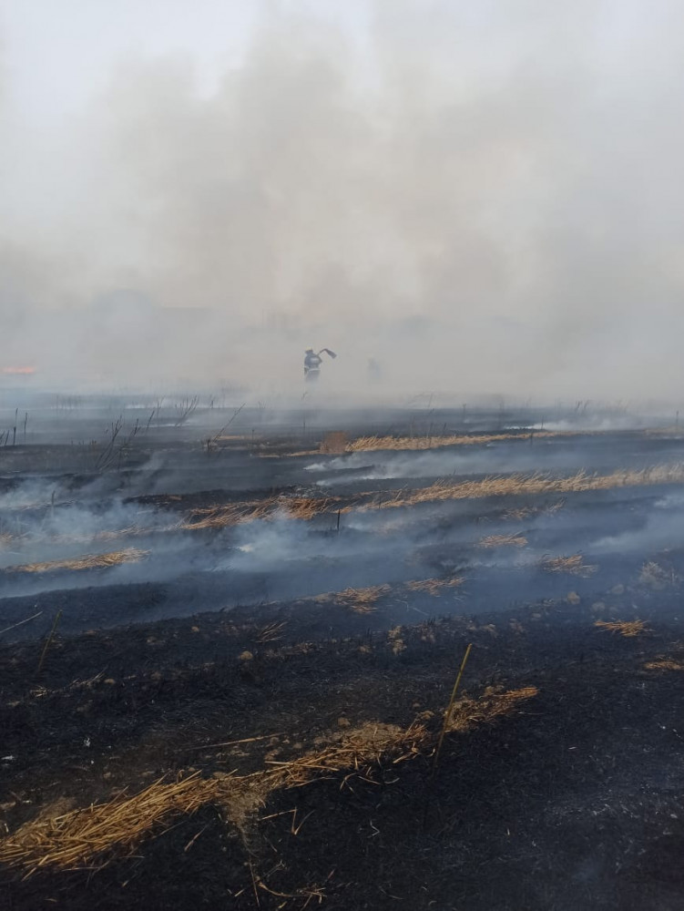 Şərur rayon Çərçiboğan kəndində biçilmiş taxıl sahəsində yanğın baş verib<font color=red> - FOTOLAR</font>